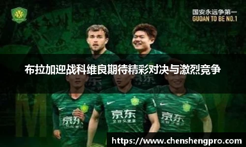 BB贝博登录入口