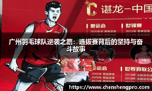 BB贝博登录入口